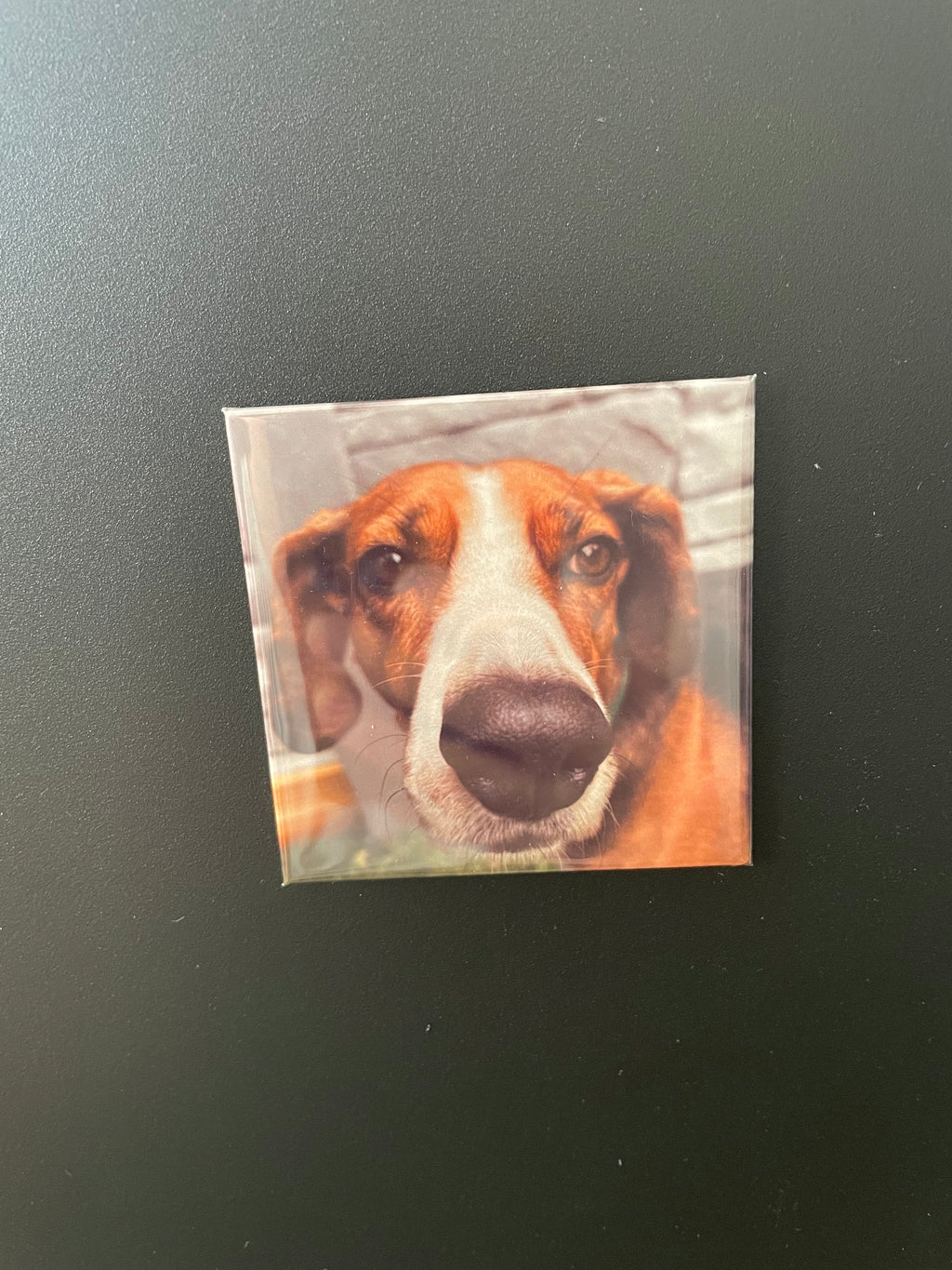 Custom Photo Magnets — 2.5"×2.5" Handmade in Chicagoland