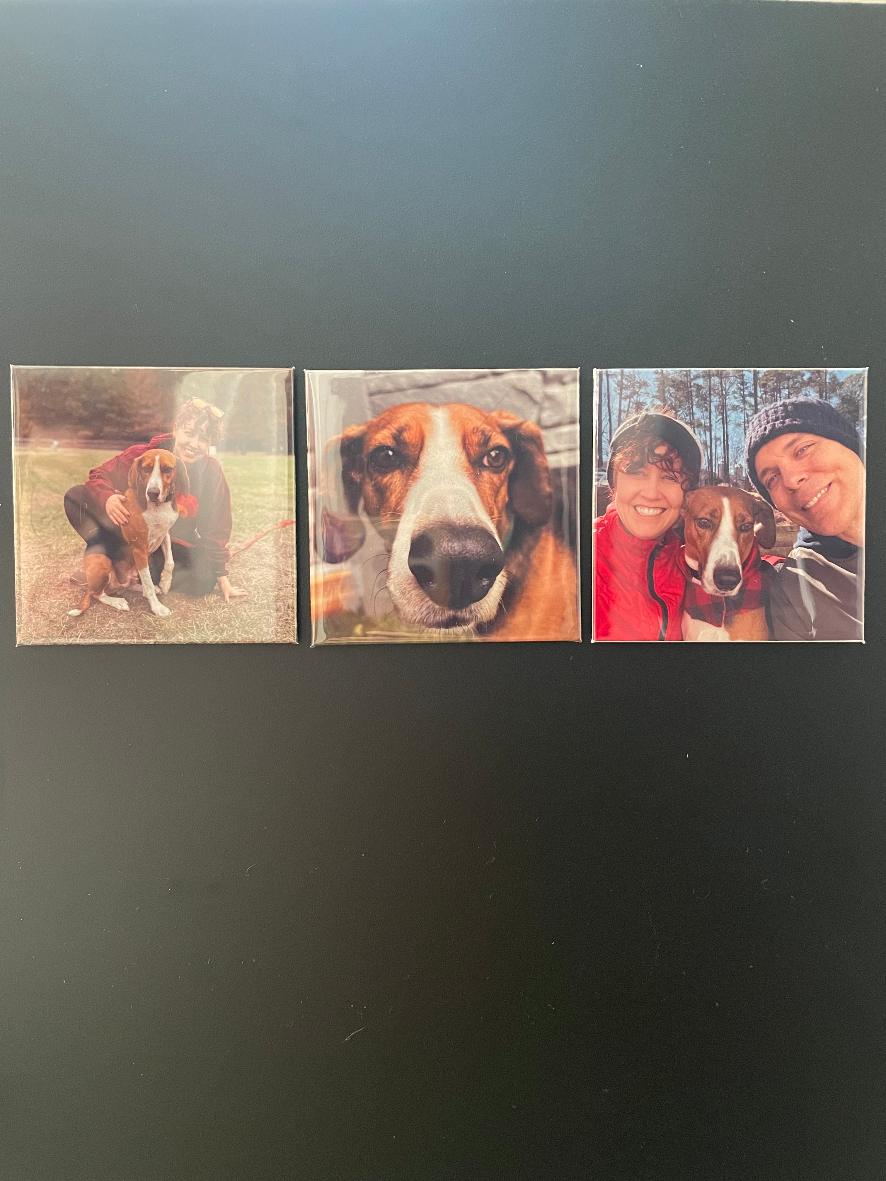 Custom Photo Magnets — 2.5"×2.5" Handmade in Chicagoland