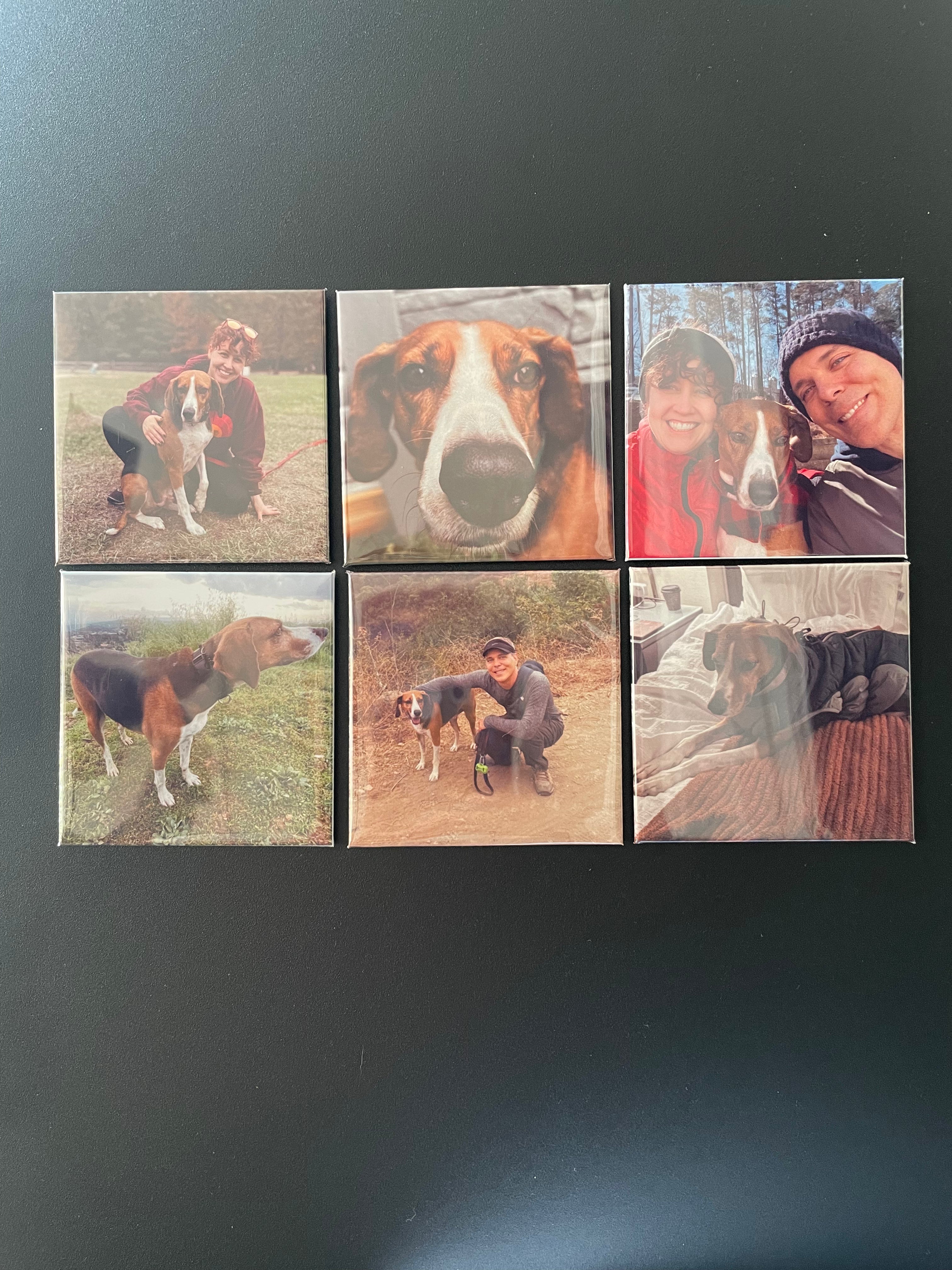Custom Photo Magnets — 2.5"×2.5" Handmade in Chicagoland
